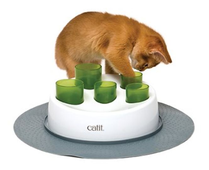 Hovedbilde Catit Senses Aktivitetsleke