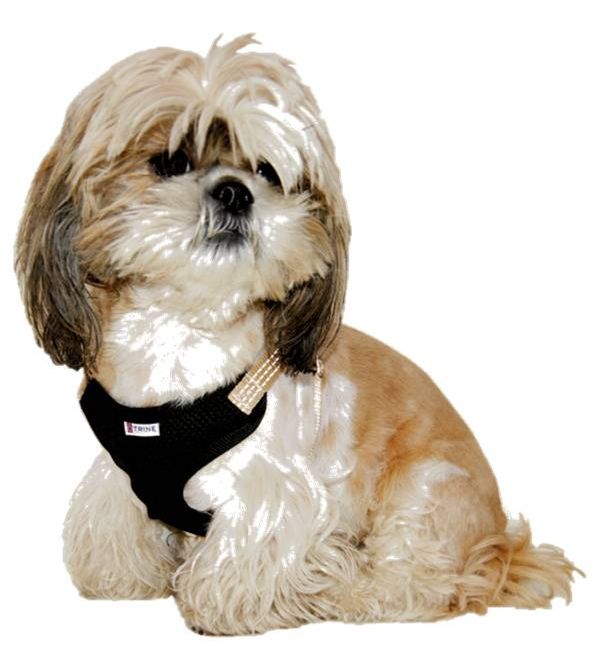 Hovedbilde Trygg Selevest Beige M