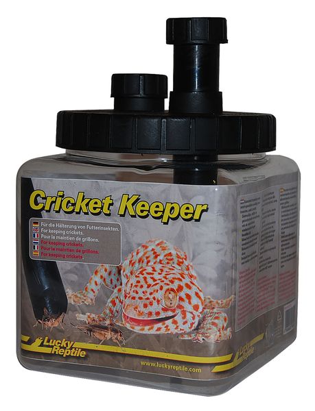 Hovedbilde Beholder for krikketer