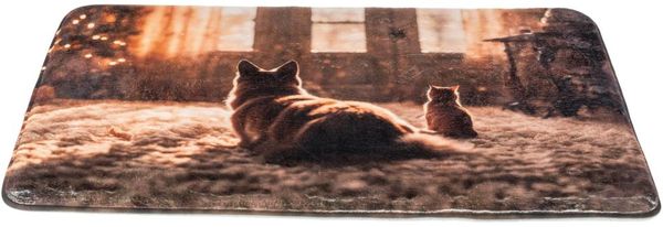 Hovedbilde Trixie Liggematte for Hund og Katt