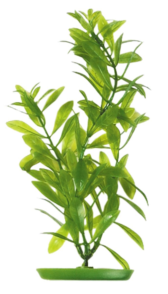 Plastplante Hygrophila 20 cm - Naturtro dekorasjon til akvarium