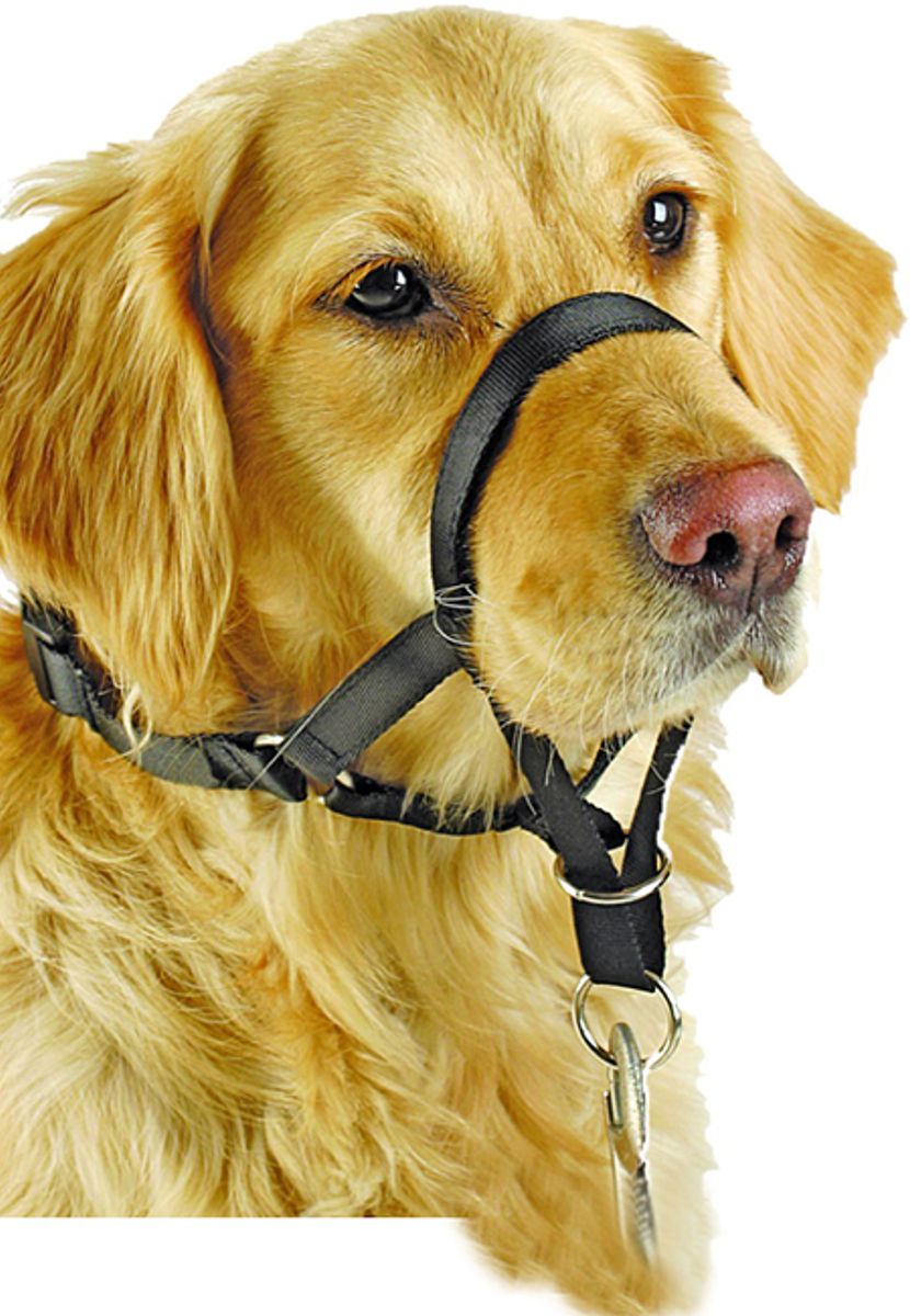 Pawise Nossele Hundegrime Str 5 (<44 cm) – Antidragsele