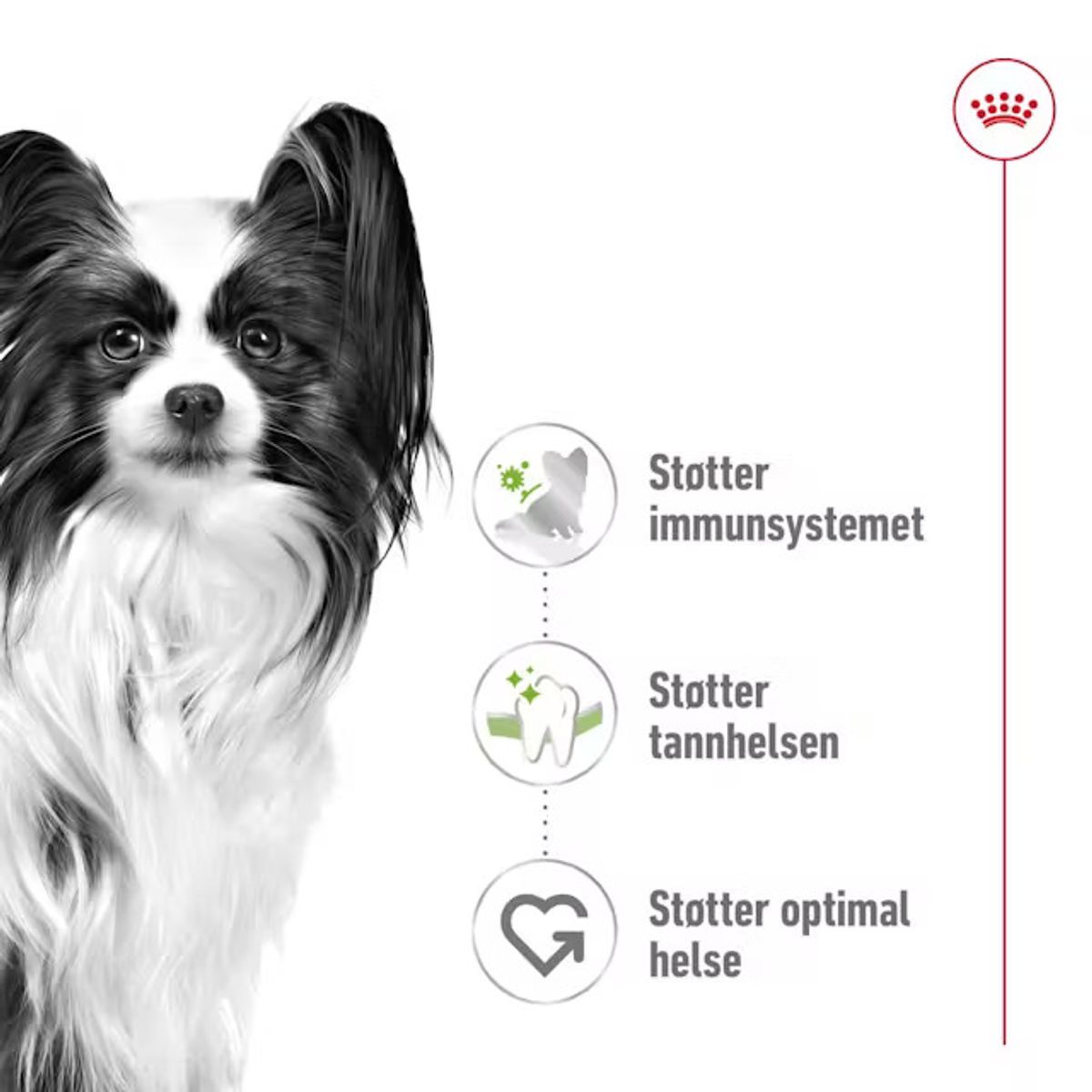 ROYAL CANIN XS Small Adult - 1,5kg