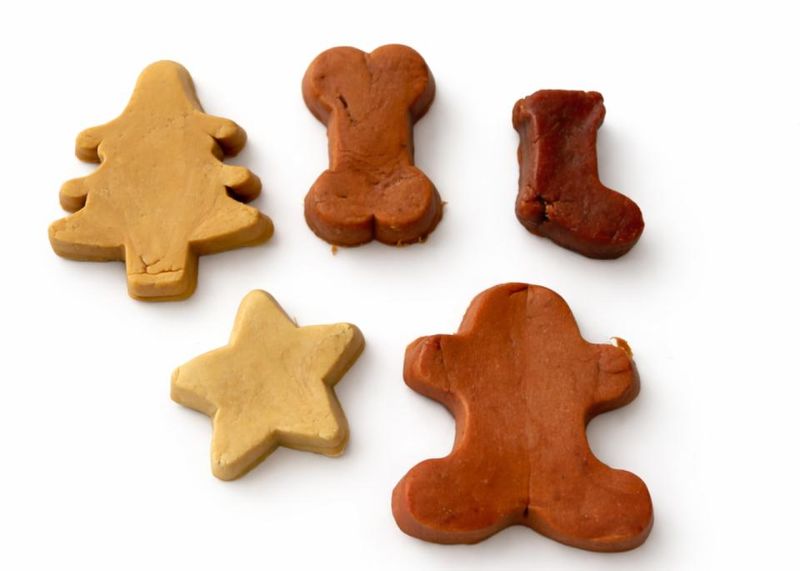 Companion Julekalender for Hund | Adventskalender m/ Snacks