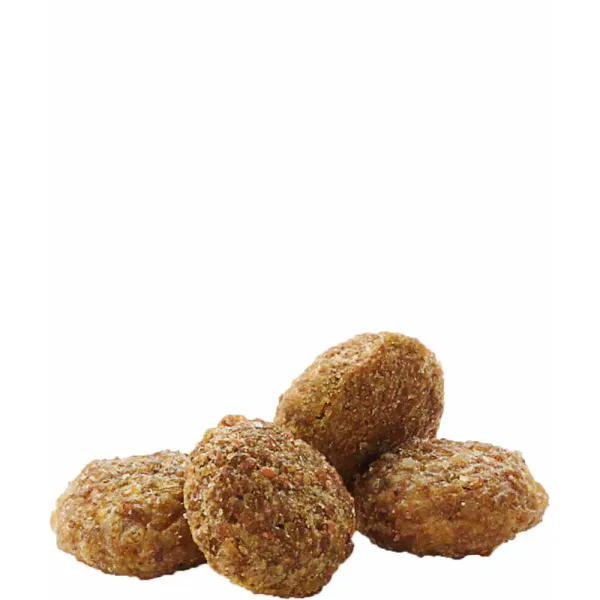 Hovedbilde VERSELE LAGA Complete Hamster & Gerbil ( 500gr )