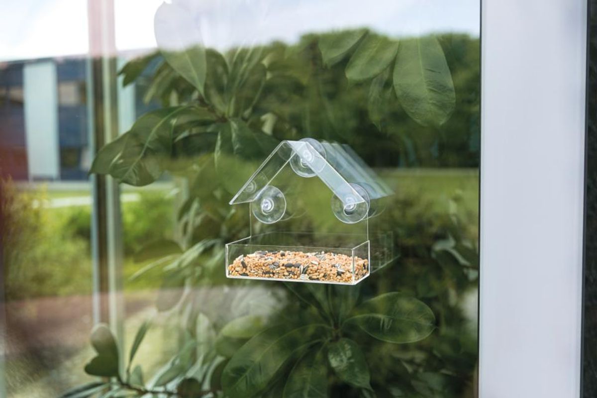 TRIXIE Fôrautomat for Vindusruten – Se Småfuglene på Nært Hold!