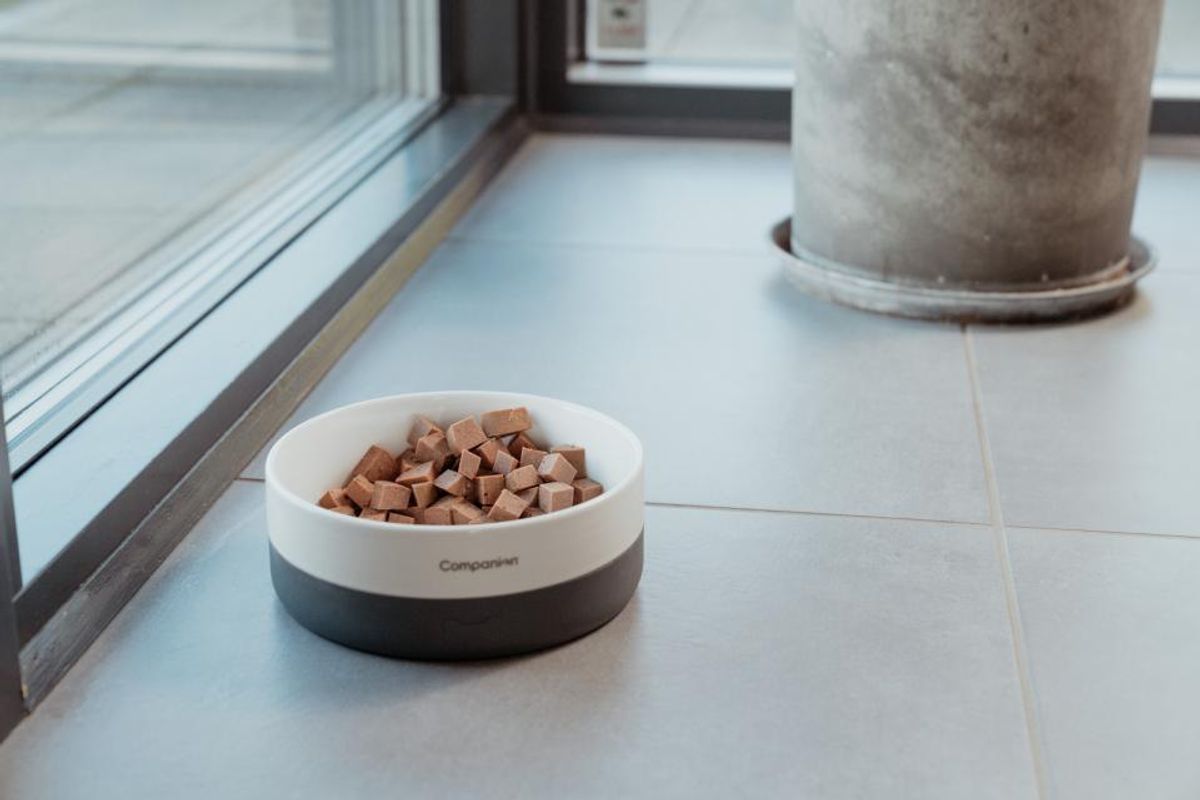 Companion+ FEAST Duck 350g | Saftig Hundefôrpølse