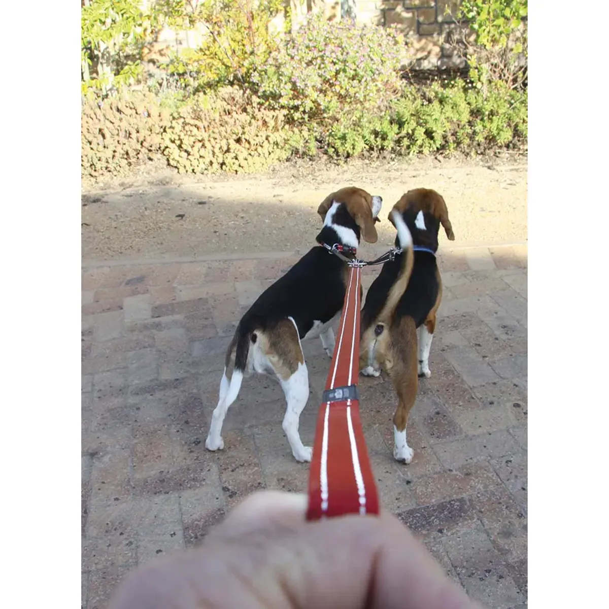 ROGZ Utility Splitter for To Hunder, Svart (16mm)