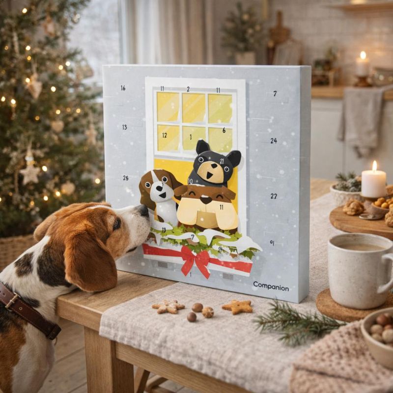 Companion Julekalender for Hund | Adventskalender m/ Snacks