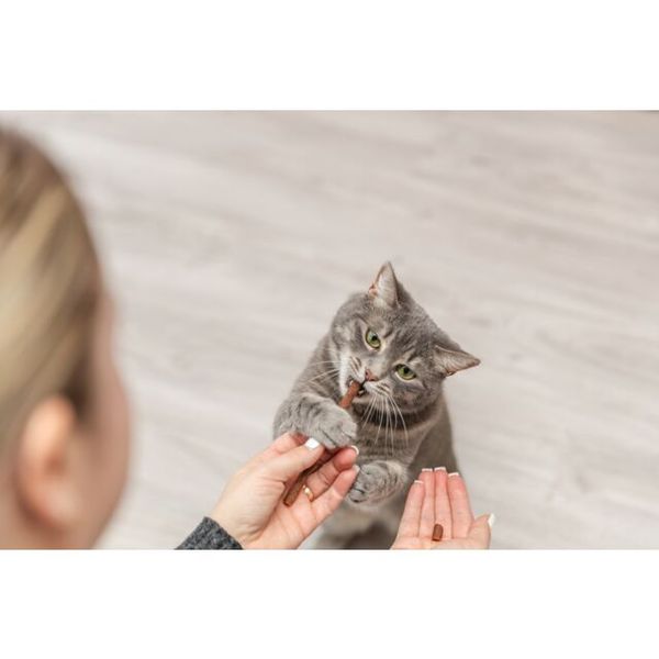 Hovedbilde Premio Quadro-Sticks Lam/Kalkun 5x5g | ...