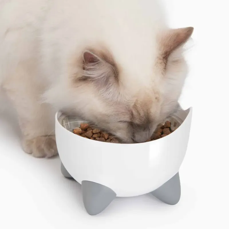 CATIT Pixi Combo Sett. Vann Fontene + Mat Skål - Hvit