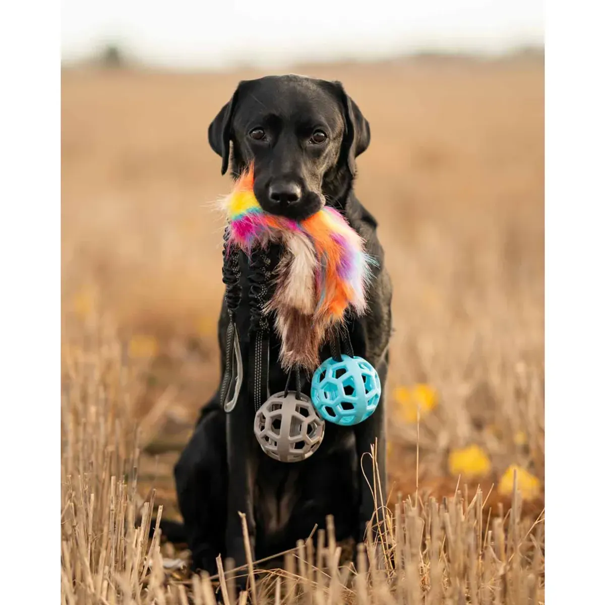 OZAMI Play-n-Tug Hundeleke Fuskepels Ball 65 cm