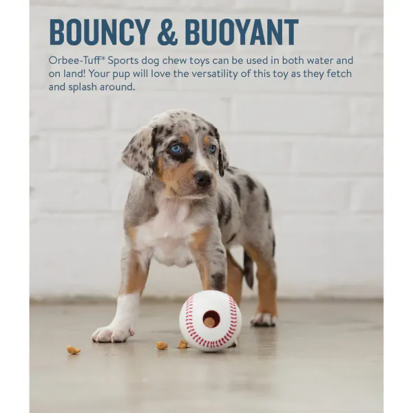 Hovedbilde Planet Dog Orbee-Tuff Baseball | Fyllbar & Slitesterk Ball
