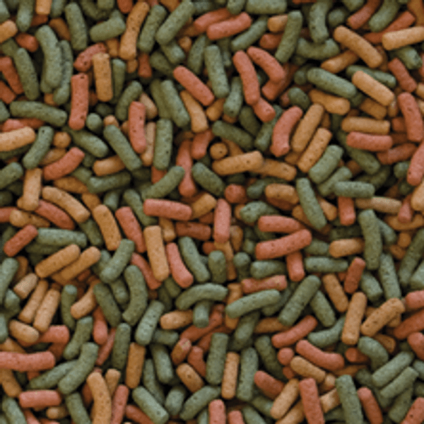 Hovedbilde TROPICAL Biorept W 1000ml / 300g | Fôr til ...