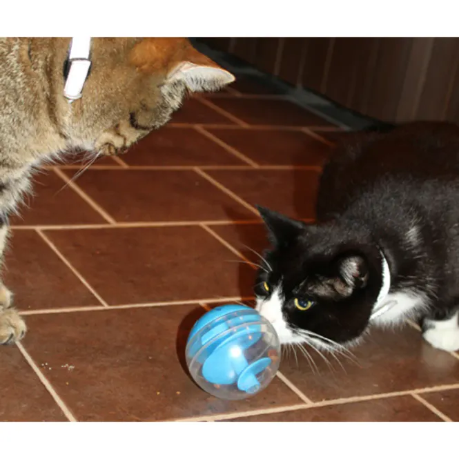 Hovedbilde CATIT Snacks Ball Blå/transparent. Ø 8cm