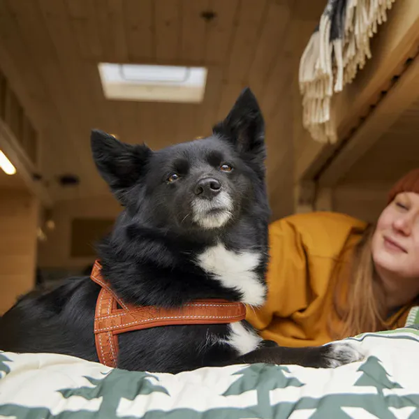 Hovedbilde HURTTA ECO Casual Sele 2XS 35-45 cm | ...