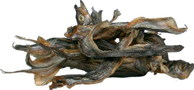 Hovedbilde TRIXIE Angmassatter ( 200 gr )