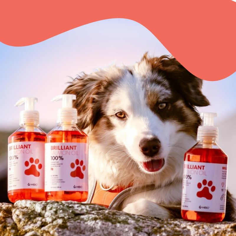 Brilliant Lakseolje 300 ml - For hunder og katter