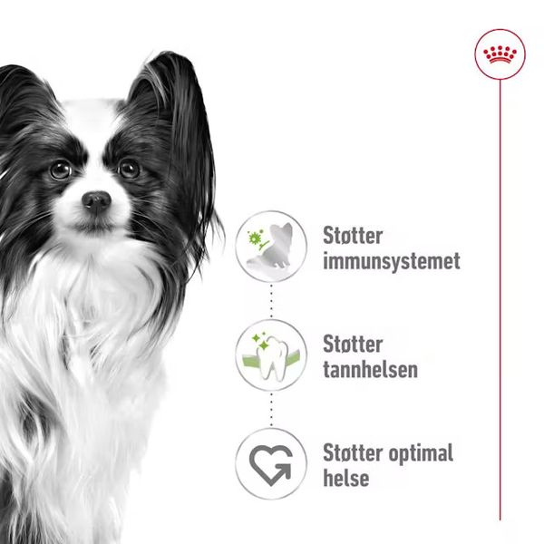 Hovedbilde ROYAL CANIN XS Small Adult - 3kg