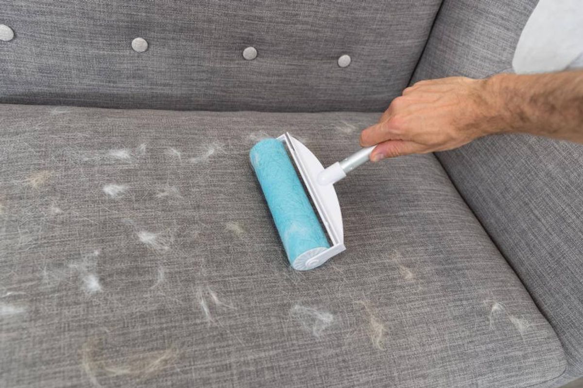 TRIXIE Gjenbrukbar XXL Klesrulle ( 20 x 30 cm )