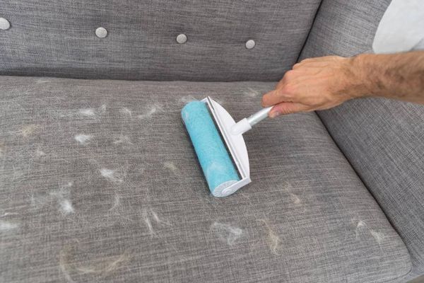 Hovedbilde TRIXIE Gjenbrukbar XXL Klesrulle ( 20 x 30 cm )