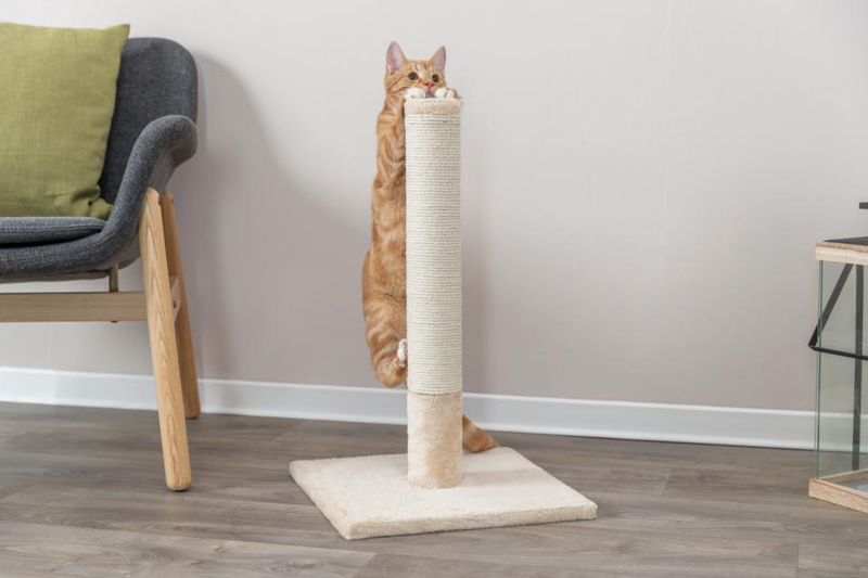 Trixie Batres Klorestolpe 62cm | Kraftig Jute & Plysj