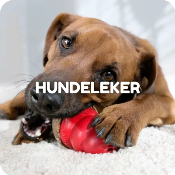 Leker til hunder. Hundeleker fra kjente merker som KONG og Trixie