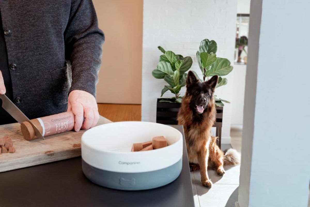 Companion+ FEAST Biff 350g | Saftig Hundefôrpølse