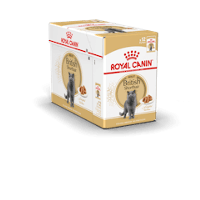 Hovedbilde Royal Canin British Shorthair Adult WET | 12x85 g Pakke